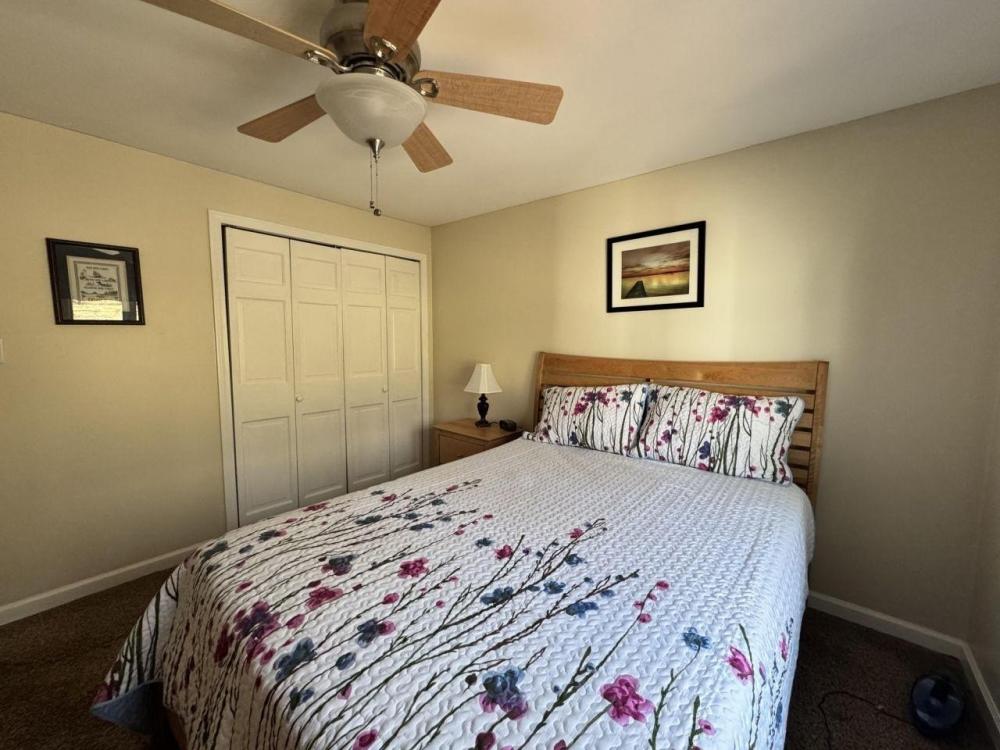 Currently Displayed Property Photo