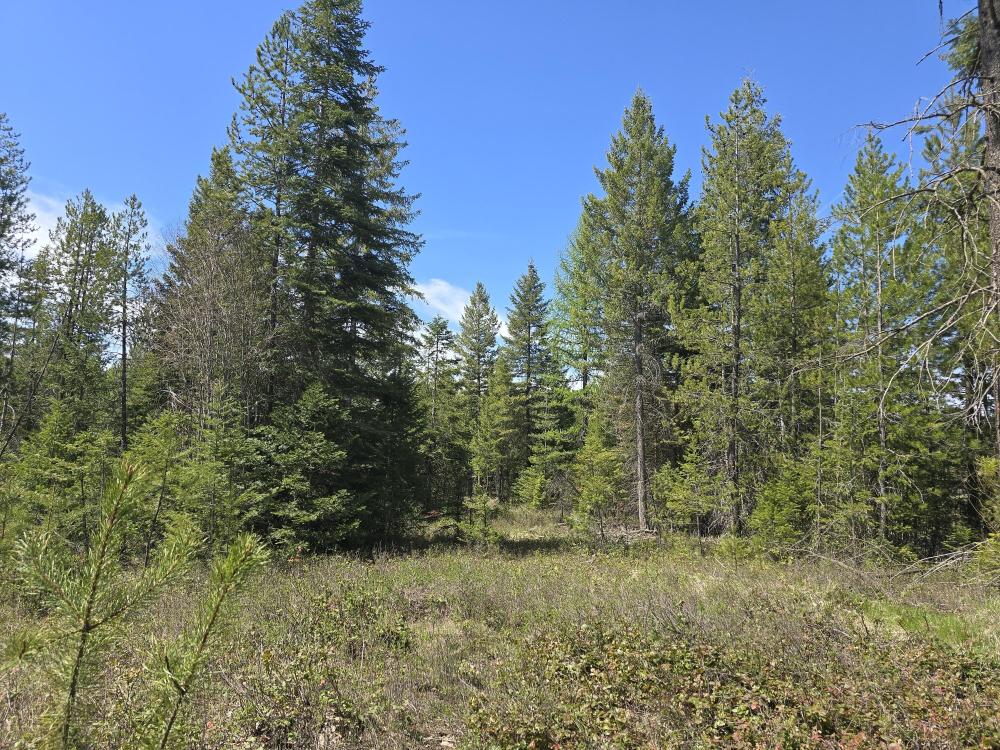 Currently Displayed Property Photo